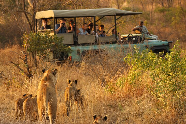 Private Full Day Kruger National Park Safari Tour from Hazyview - Photo 1 of 8